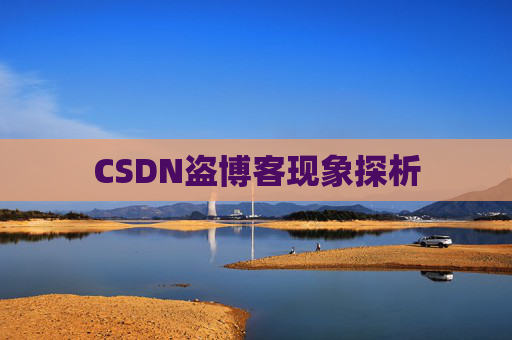 CSDN盗博客现象探析